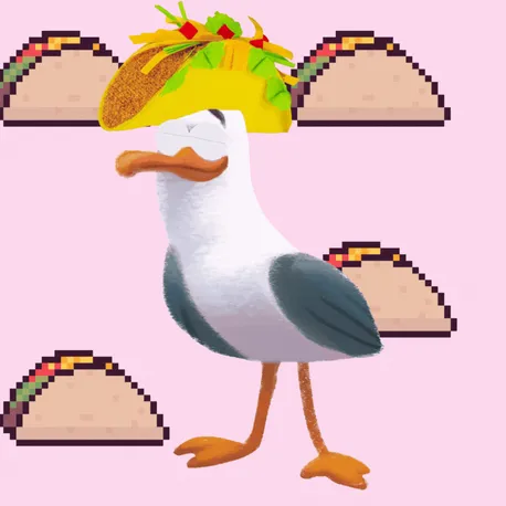 Taco Tuesday Seagull