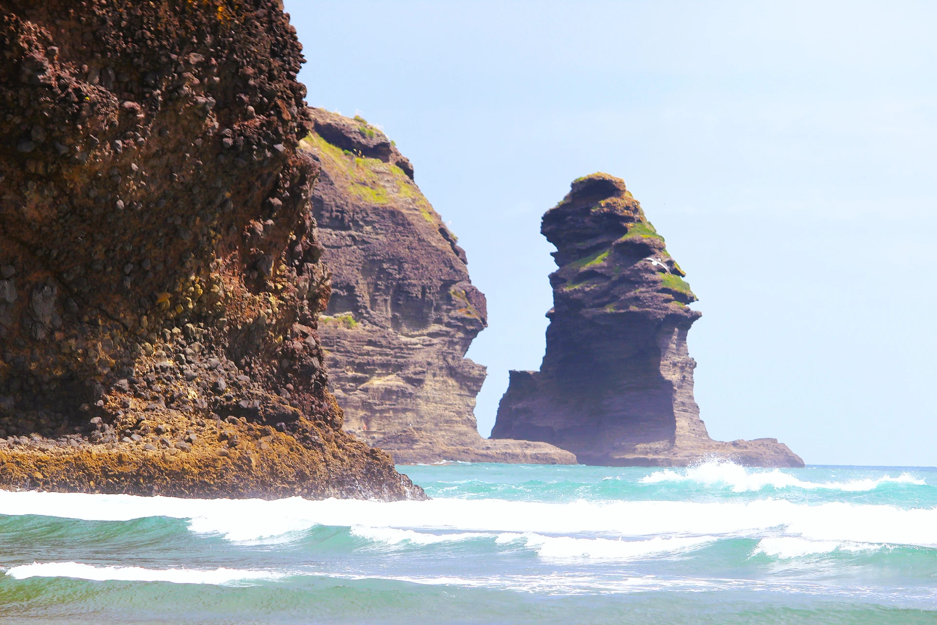 Sentinels of Piha