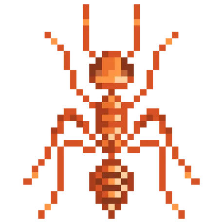 ANT Minimalist 