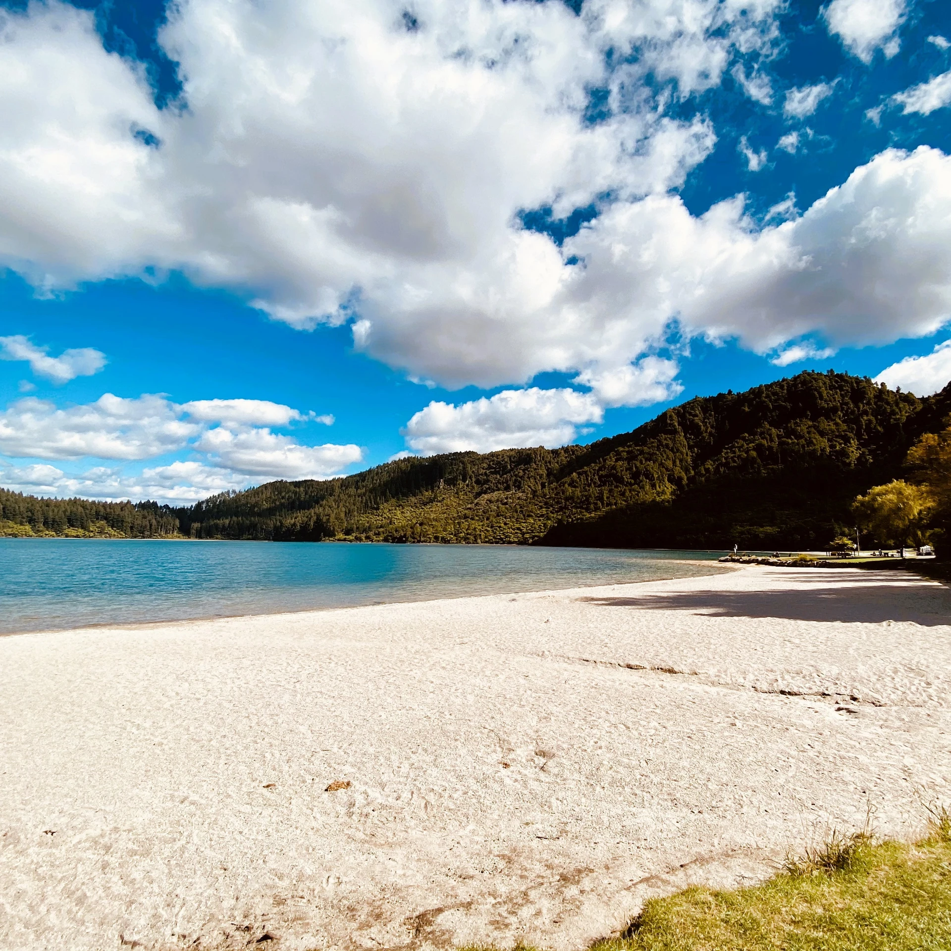 Tikitapu – The Blue Jewel of Rotorua