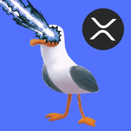 XRP Maxi Seagull