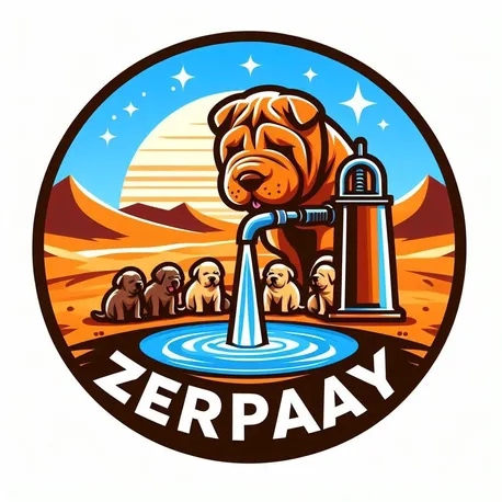 Zerpaay Water Project NFT