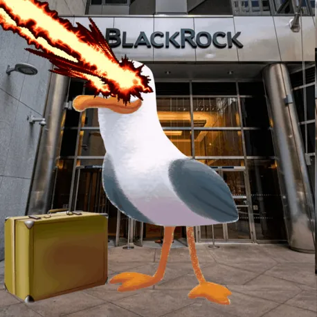 BlackRock Seagull