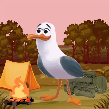 Camping Seagull