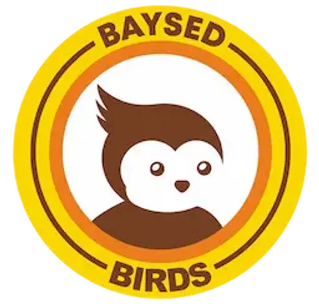 Baysed Birds