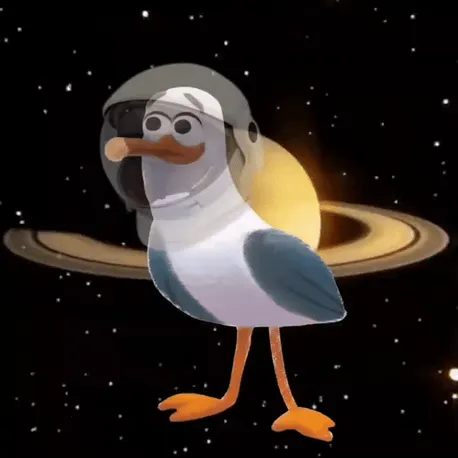 Saturn Seagull