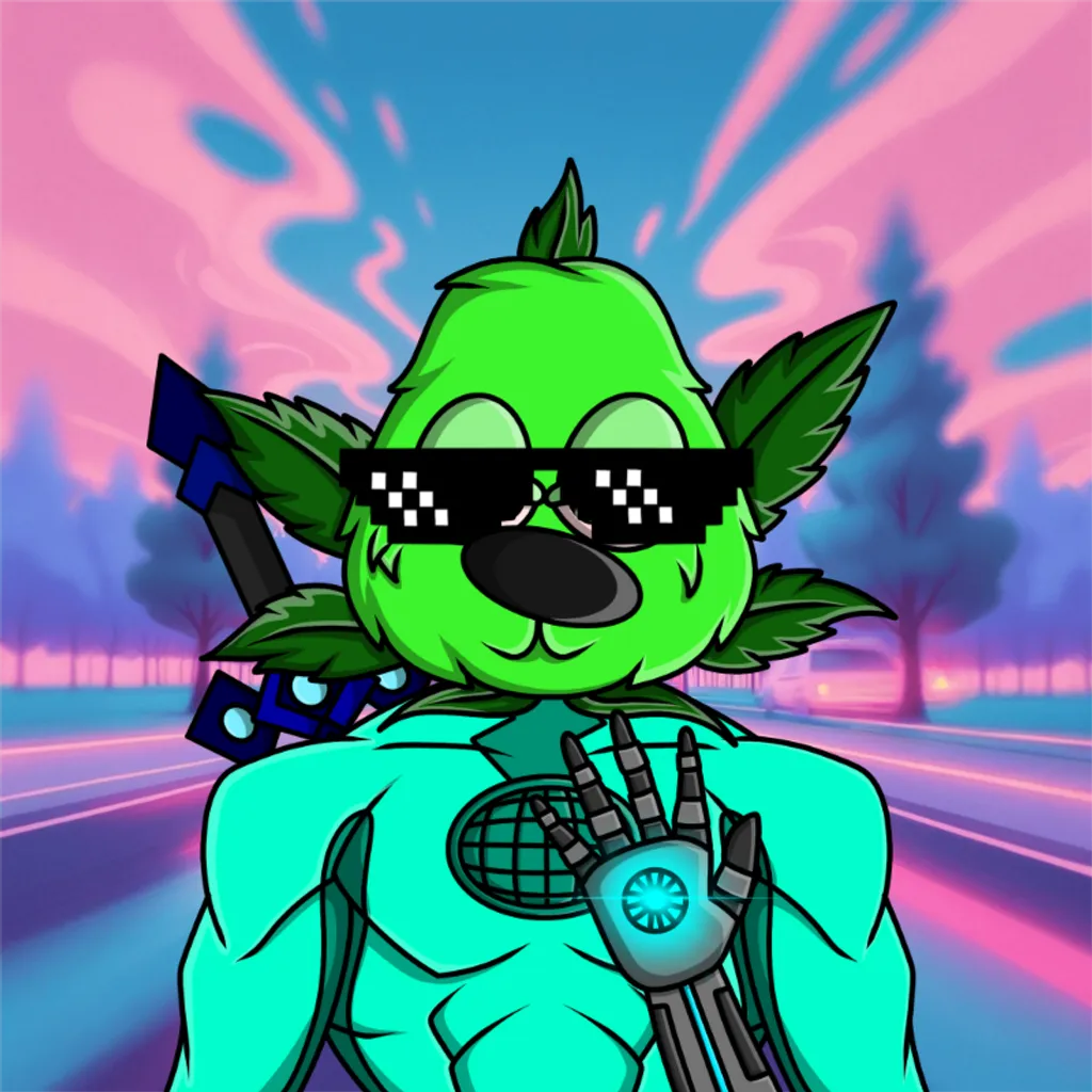 Budzy Warlords 6